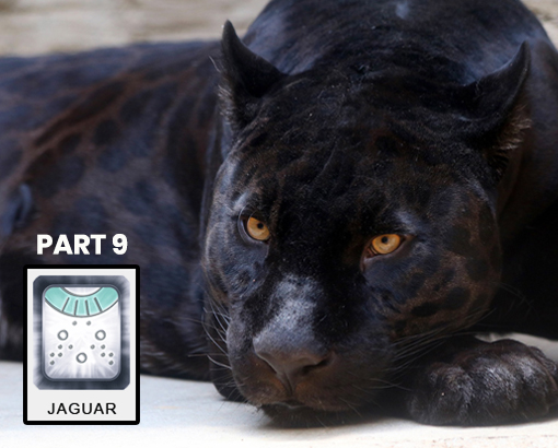Mayan Jaguar Time - Part 9